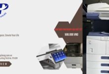 thuê máy photocopy phường Vĩnh Hội